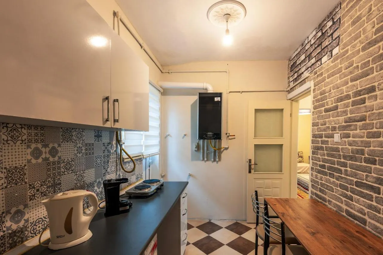 In The Center Of Taksim And Galataport 3 Bedrooms And 1 Living Room In Apartment Istanbul Turkey